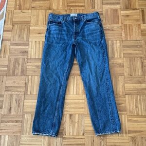 Everlane The Everyone Vintage Jean in Medium Wash